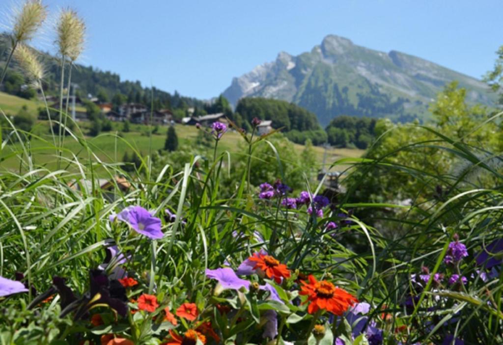 Location D'Appartements - La Residence La Clusaz Kültér fotó