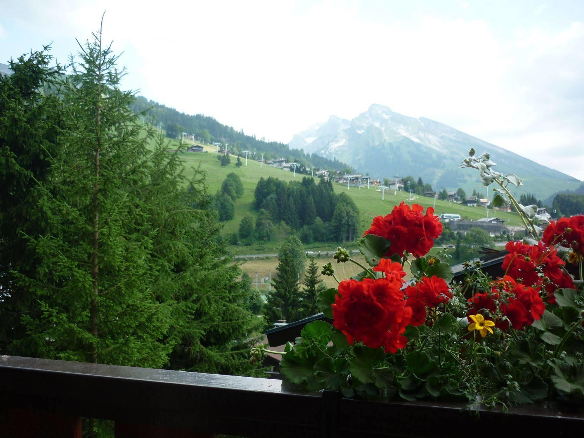 Location D'Appartements - La Residence La Clusaz Kültér fotó